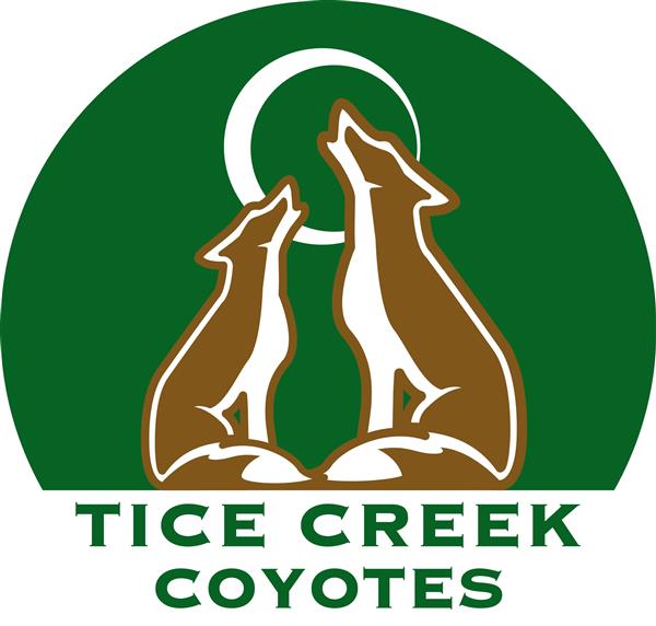 Coyotes Howling 